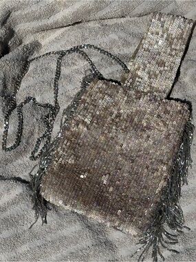 ZARA Sequin Fringe Crossbody Bag